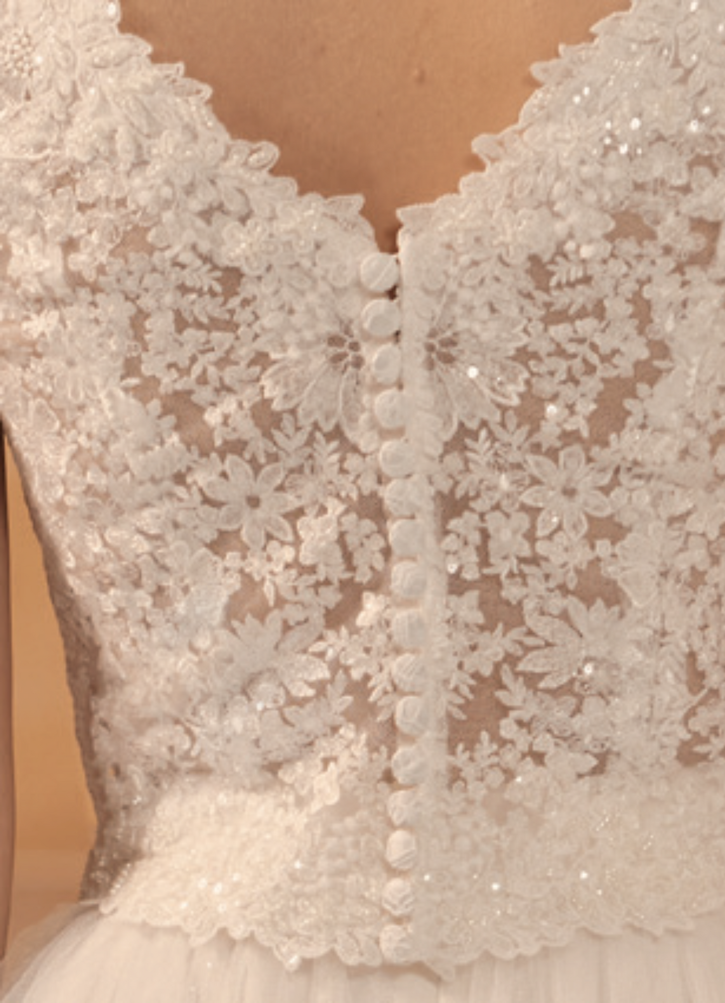 Short Sleeve Transparent Bridal Top W/ Sequin E434